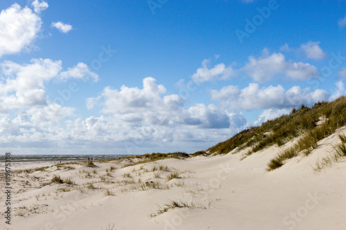 sand dunes of Blaavand beach, south Jutland
