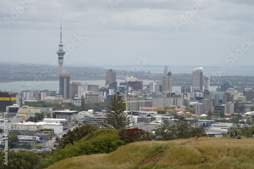 Auckland New Zealand the city view and archetecture of the city 