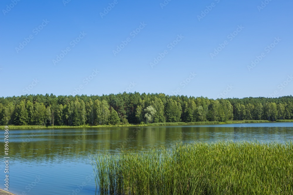 Calm landscape with lake and forest