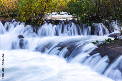 Stream flowing through in the forest