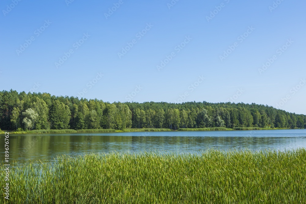 Calm landscape with lake and forest