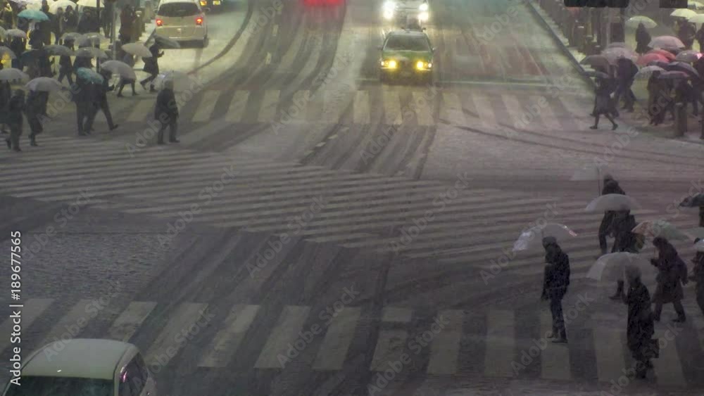 SHIBUYA,  TOKYO,  JAPAN - JANUARY 22, 2018 : Scenery of snowing at SHIBUYA scramble crossing.