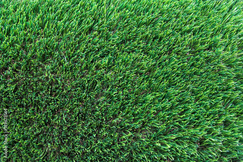 Texture green grass. Background of green turf grass. Texture coating of a football field.