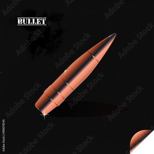 Bullet gun pistol