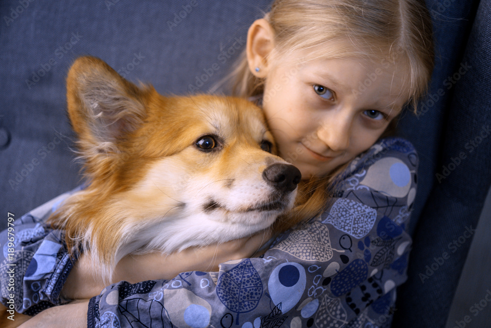 girl and corgi fluffy portrait girl and corgi fluffy portrait