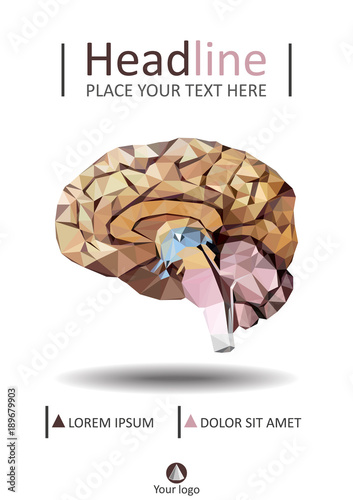 Realistic human brain in low poly. Cover  template of dissected brain. Book, banner. Cerebrum, epithalamus brainstem, cerebellum, cortex, thalamus, hippocampus, lobes. Vector