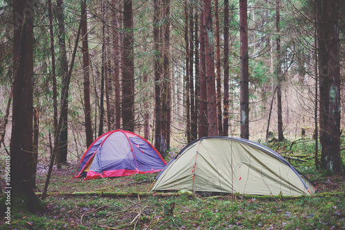 Tents in the forest