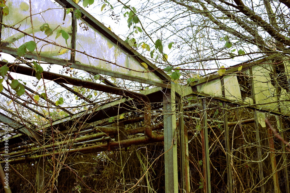 Greenhouse II Greenhouse II