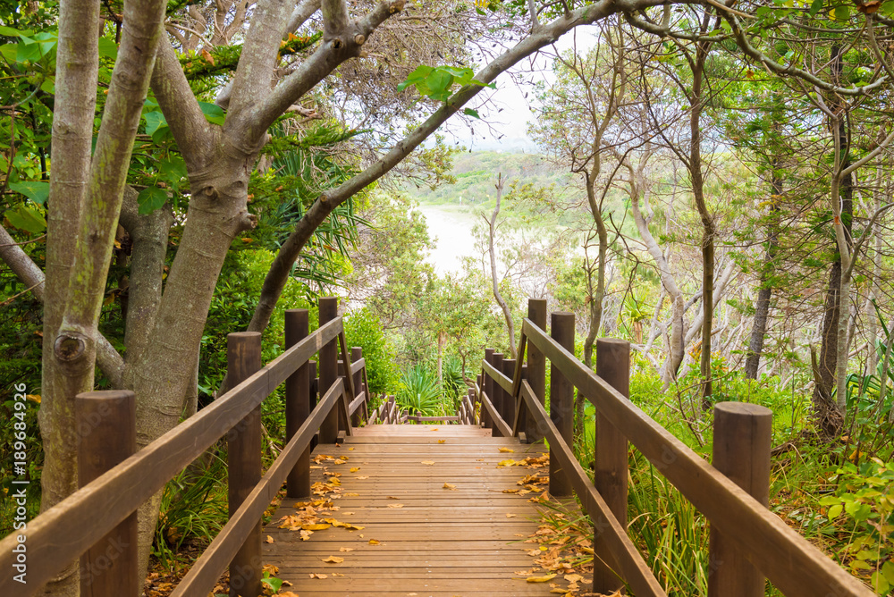 Wooden forest trail boardwalk at Fingal Head, Australia Wooden forest trail boardwalk at Fingal Head, Australia