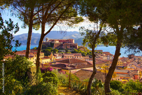 Elba island, Portoferraio, Trees, lighthouse and fort. Tuscany, Italy.