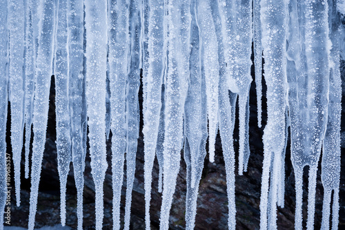 Fotografiet Row of big frosty icicles in nature