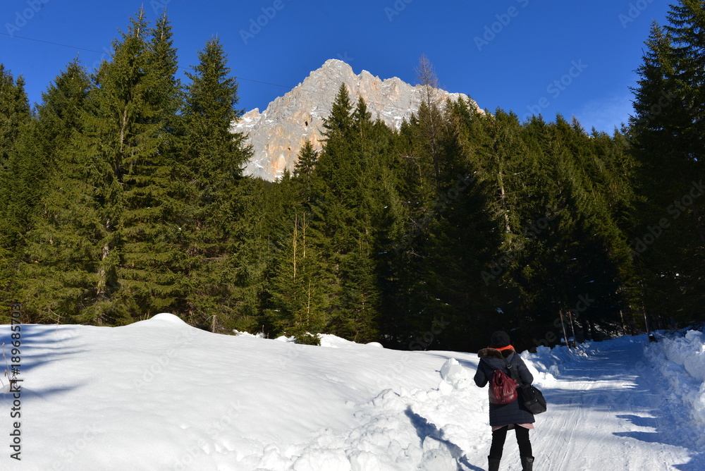 Winterwanderung auf der Ehrwalder Alm Zugspitzarena 