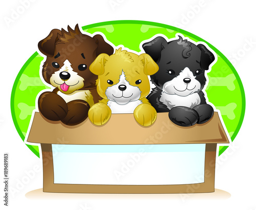 Puppies