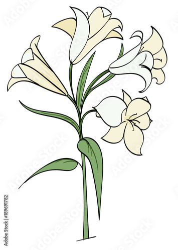 Easter Lilies