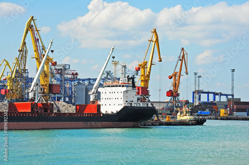 Bulk cargo ship under port crane