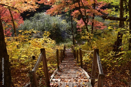 autumn