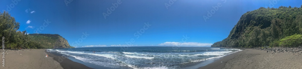 Fototapeta premium Hawaii Beach Panorama