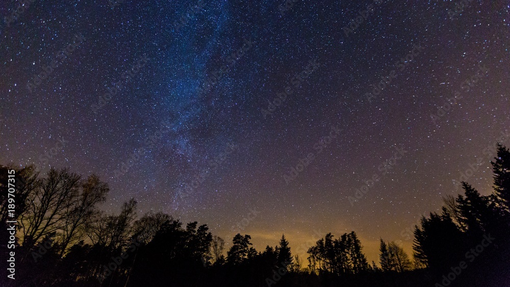Starry night sky with Milky way over forest