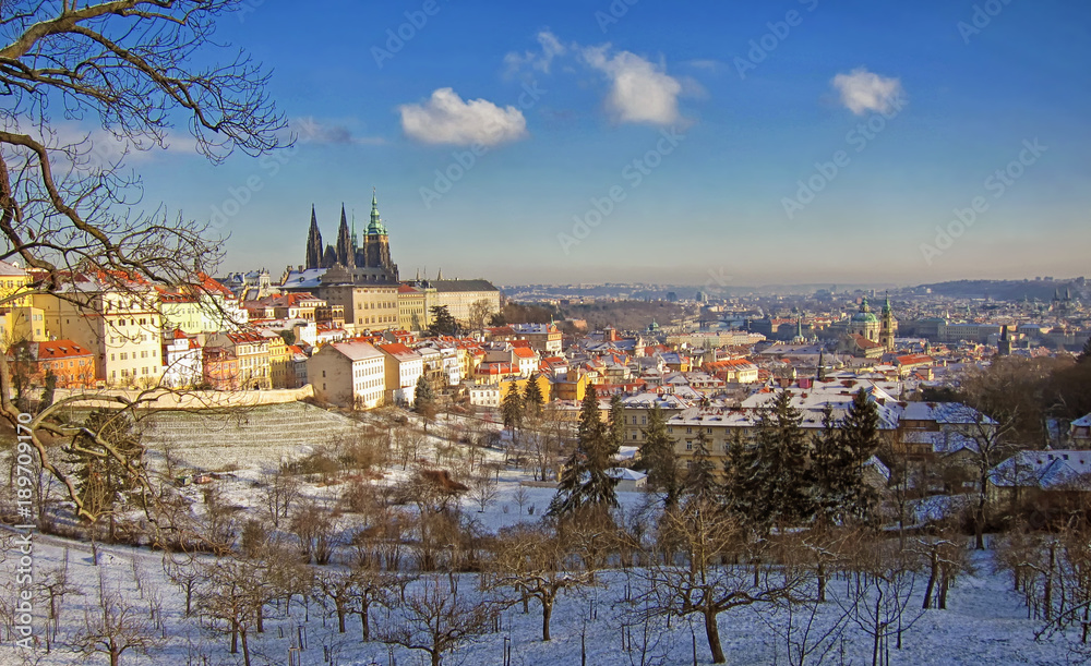 Fototapeta premium Prag, Blick vom Petrin auf die Burg, Moldau und Altstadt
