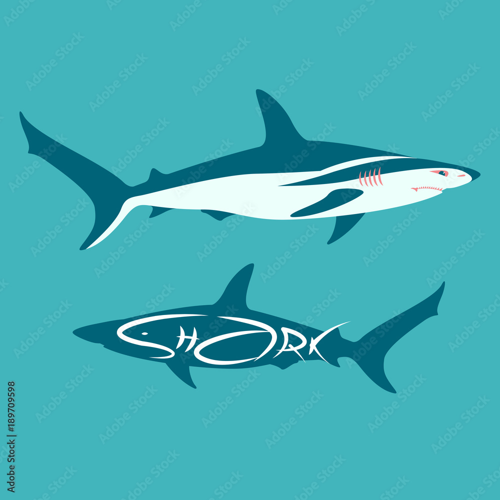 Fototapeta premium shark vector illustration flat style silhouette profile view