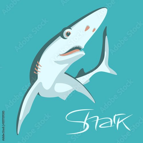 shark vector illustration flat style  profile view