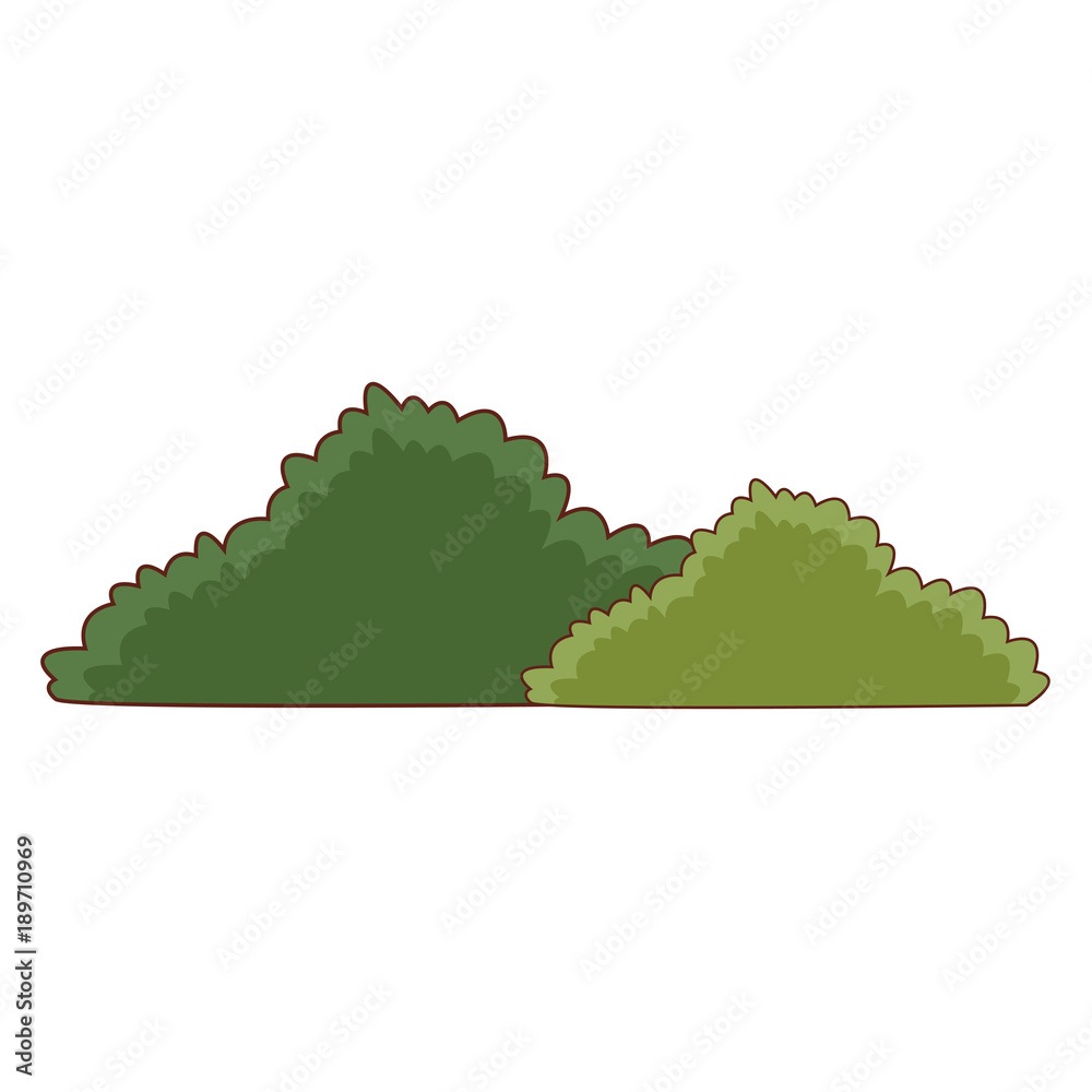Bushes nature symbol icon vector illustration graphic design