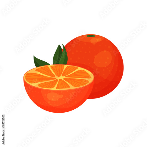 Fresh juicy orange fruit cartoon vector Illustration