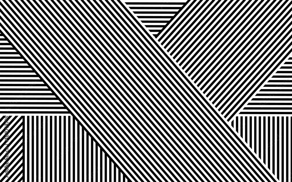 Zebra Design Black and White Stripes Vector