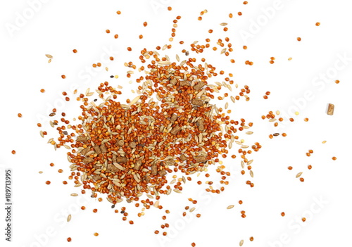 Mixed bird seed, millet pile for parakeets isolated on white background, top view