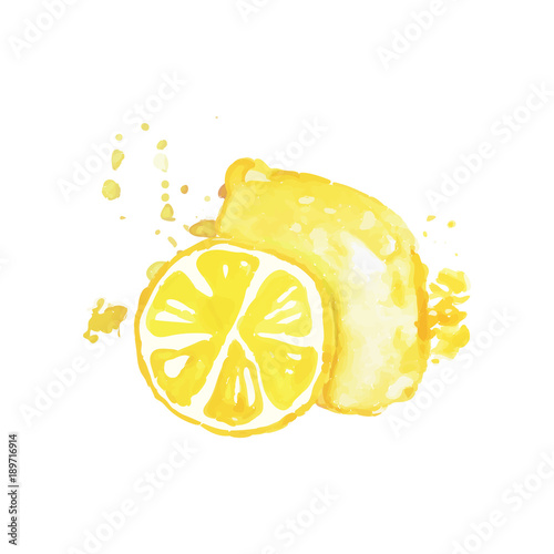 Hand drawn watercolor painting of whole and slice of lemon. Citrus fruit. Organic and tasty food. Healthy nutrition. Vector design for product label or packing sweets