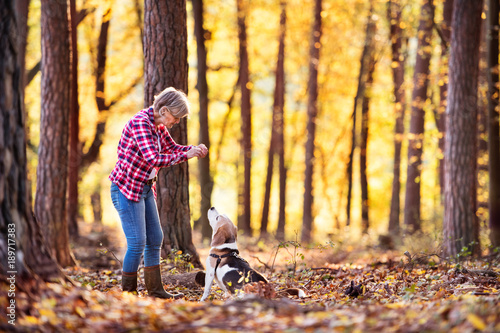 Senior woman with dog on a walk in an autumn forest.