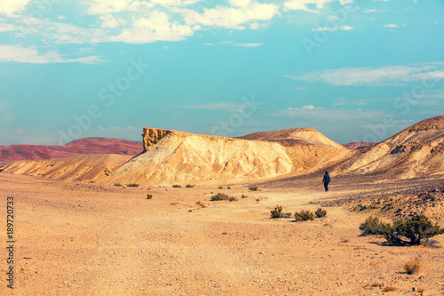 Desert landscape. Israel. A man is walking in the desert