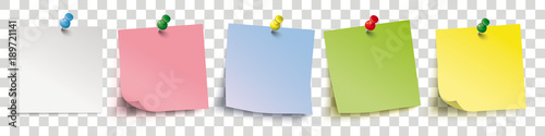 Colored Sticks With Pins Header Transparent