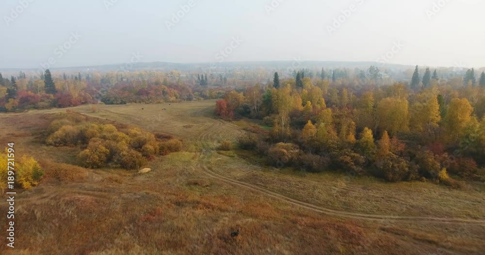 Aerial shot Butiful autumn Aerial shot Butiful autumn