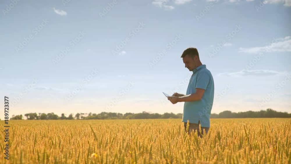 Agriculture science. Agronomist working in field. Man using tablet in field wheat. Agriculture concept. Agricultural scientist analysing summer harvest Agriculture science. Agronomist working in field. Man using tablet in field wheat. Agriculture concept. Agricultural scientist analysing summer harvest