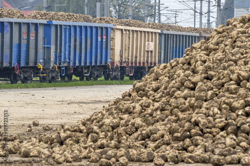 sugar beet and freight train