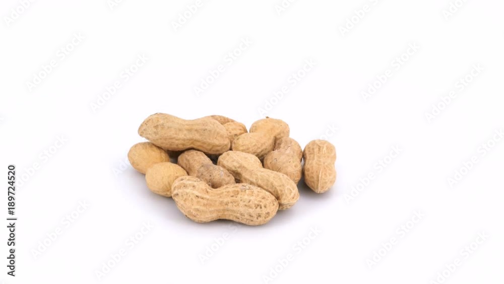 Peanuts isolated on white background, loopable Peanuts isolated on white background, loopable