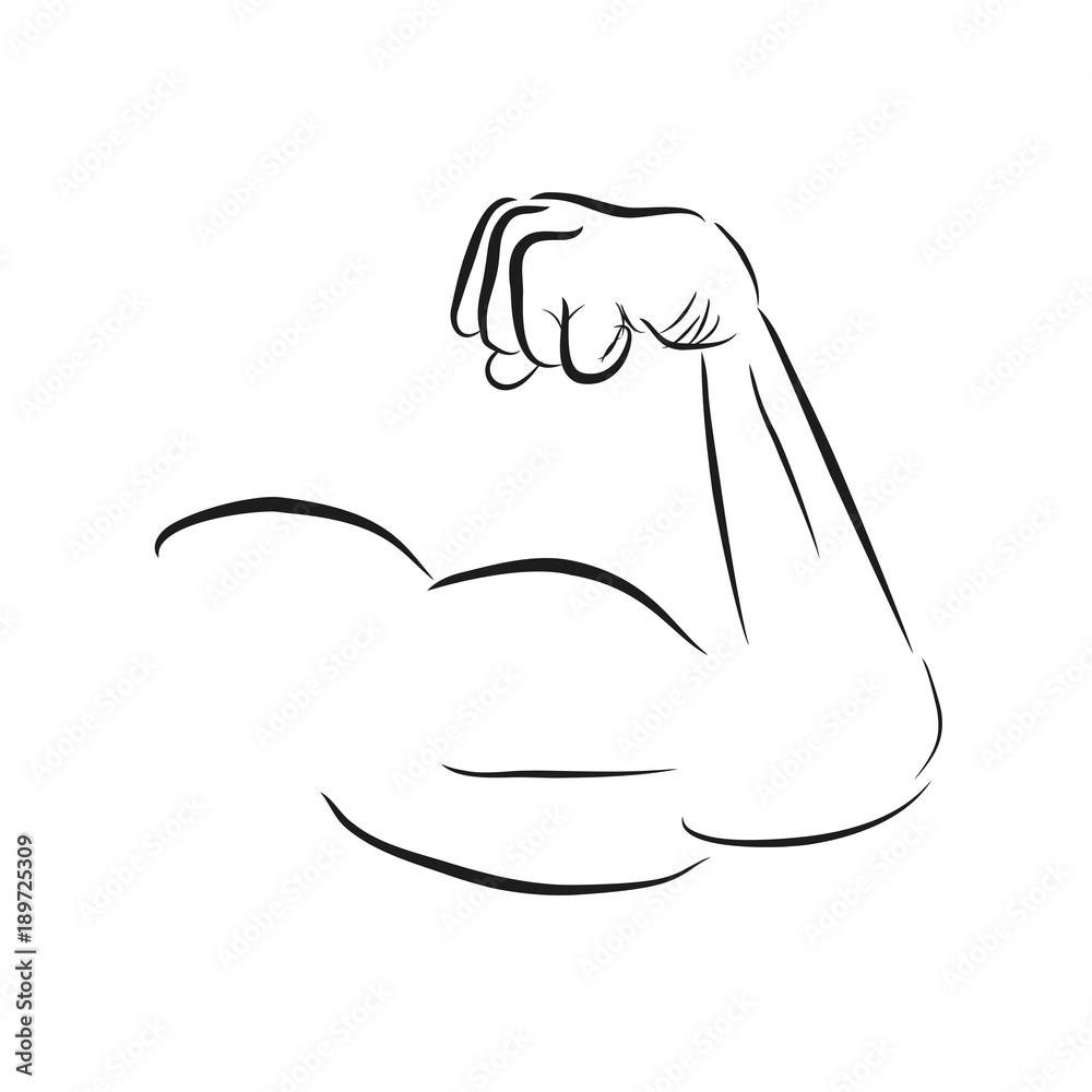 Simple Sketch Arm of Muscle Man Simple Sketch Arm of Muscle Man