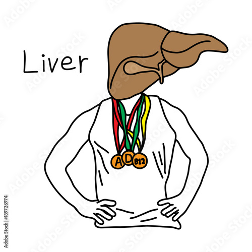metaphor function of liver to liver store vitamins A, D, and B12 vector illustration sketch hand drawn with black lines, isolated on white background. Education Medical concept.
