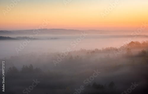 Fototapeta Naklejka Na Ścianę i Meble -  Foggy morning on the Jura Krakowsko-Czestochowska, Bobolice, Poland