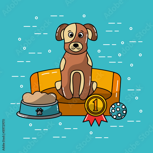 pet dog sitting in bed with food and medal winner vector illustration