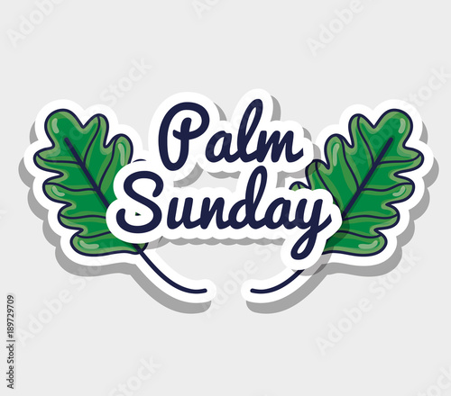 palm sunday message to catholic religion