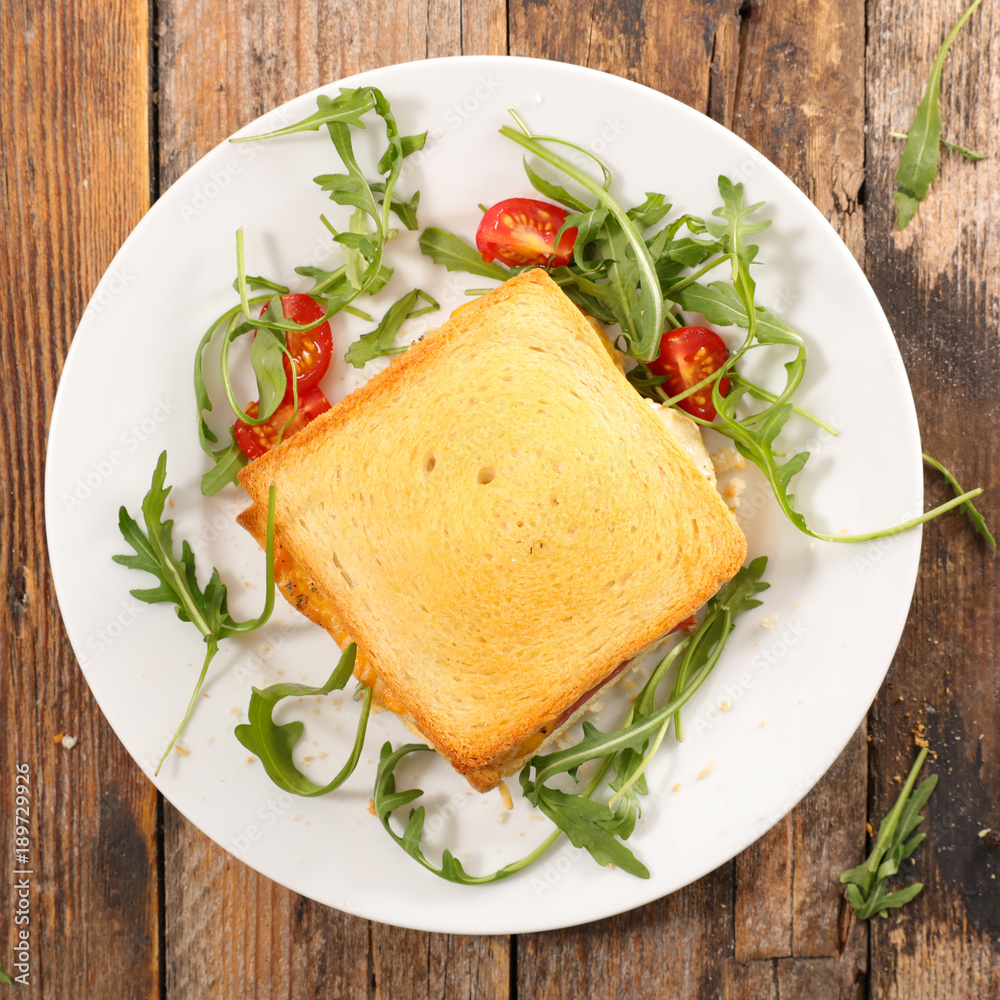 bread toast with cheese and ham bread toast with cheese and ham