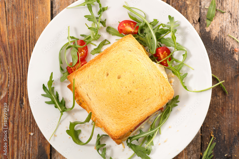 bread toast with cheese and ham bread toast with cheese and ham