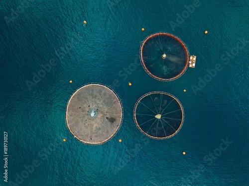 Canvas Print Salmon fish farm with floating cages. Aerial view
