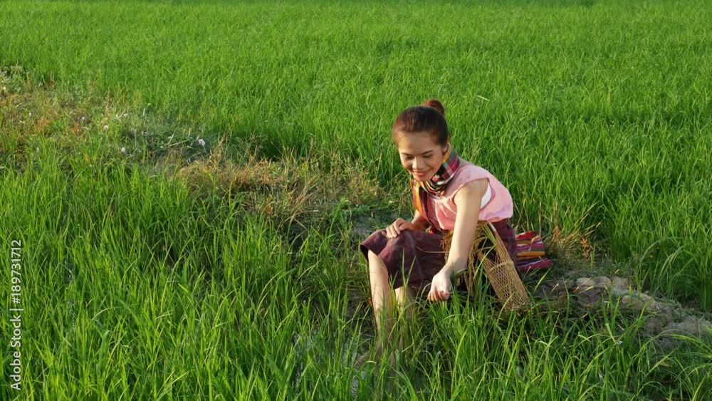 4k video of happy farmer woman sitting in green rice filed, Thailand 4k video of happy farmer woman sitting in green rice filed, Thailand