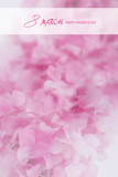 
The international happy women's day on 8 March,with pink flower of hydrangea.Greeting card. 