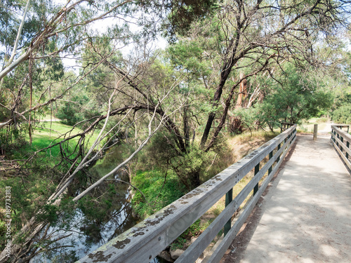 Stream running through Gardiners Creek in Melbourne  Australia.