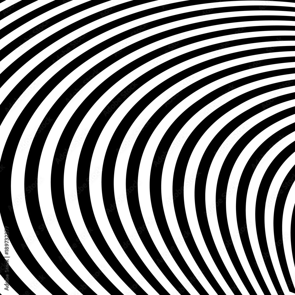 Fototapeta premium Abstract Black and White Abstract Lines