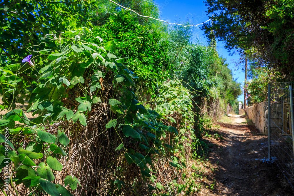 Fototapeta premium Luruxy Accommodations - Luxury Interiors and Exteriors 